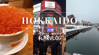 【北海道VLOG】札幌旅行2泊3日✈️⛄️食の旅🍜札幌小樽海鮮丼ラーメンアフレコ [upl. by Mutua]