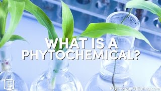 What is a Phytochemical  with Marc David [upl. by Britt]