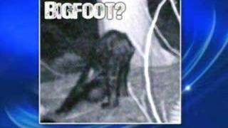 Hunter Spots Bigfoot In Pennsylvania Woods [upl. by Aynot486]