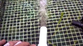 Simple quotTquot venturi demofor use in ponds filters etc [upl. by Akihsay303]