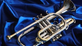 Review Conn Connstellation Cornet 38A from 1961 [upl. by Malachy]