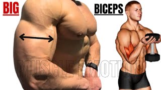 5 BEST BICEPS WORKOUT AT GYM TO GET BIGGER ARMS FASTbicepsworkout [upl. by Igenia703]