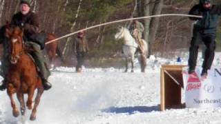 Thrilling Extreme Horse Ski Joring Races [upl. by Richara719]