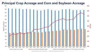 Corn Acreage in 2019 [upl. by Tolman95]