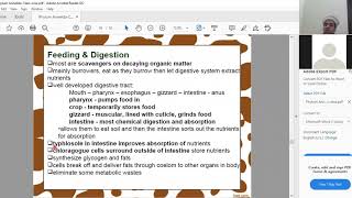 Class Oligochaeta Phylum Anellida Part1 [upl. by Rozanne691]