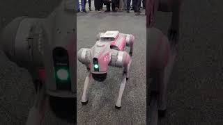 Durante Expo Seguridad 2024 se presento este robot GO2 a control remoto de la empresa China Unitree [upl. by Artinad411]