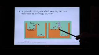 Biology Help Biology 123 Chapter 5 Energy and Metabolism [upl. by Wilfred322]