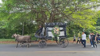 Ricos y pobres comparten tradición de carruajes fúnebres en Nicaragua  AFP [upl. by Rennoc782]