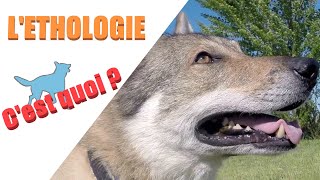 Question déthologie 1  Léthologie [upl. by Brill]