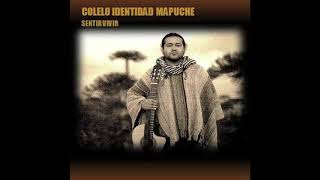 Colelo Identidad Mapuche  10 Lamngen´ Sita  Sentir Vivir [upl. by Korman]