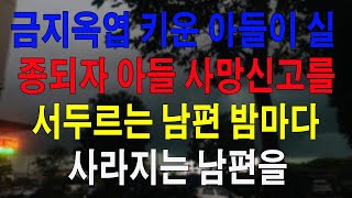 실화사연 금지옥엽 키운 아들이 실종되자 아들 사망신고를 서두르는 남편 밤마다 사라지는 남편을 따라가자 믿지못할 경악할 장면을 보게 되는데 [upl. by Nytsud]