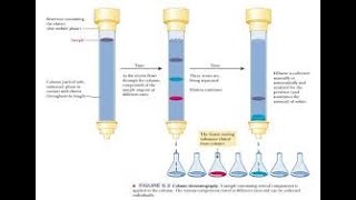 COLUMN CHROMATOGRAPHY [upl. by Madaras]