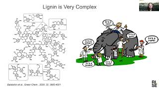 Lignin from idea to market  possibilities and challenges [upl. by Zanze]