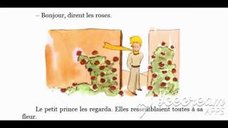 Le Petit Prince  Livre Audio avec texte  Chapitre 20  FR [upl. by Elijah]