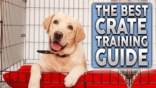 The ULTIMATE Crate Training Guide For Your New Dog or Puppy [upl. by Tennek]