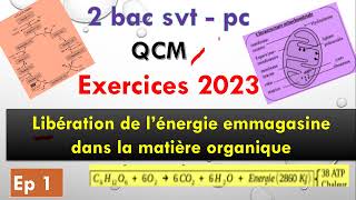 2 bac pc svt exercice 2023 ep 1 libération de lénergie emmagasinée dans la matière organique [upl. by Atinihs983]