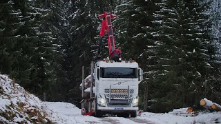 Le Nouveau Grumier des Transports Gervais en Montagne  Volvo FH16 650 [upl. by Selene]