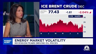 The energy market is very jaded from trading geopolitics says Energy Aspects Amrita Sen [upl. by Ahsiei]