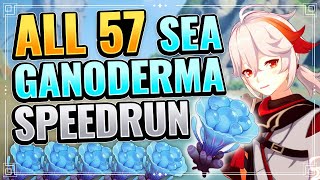 ALL 57 Sea Ganoderma Locations SPEEDRUN Guide Kazuha Ascension Materials Farming Genshin Impact [upl. by Altheta179]