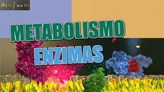 Metabolismo  Parte 1 Enzimas y sus propiedades con ejemplos [upl. by Bensky]