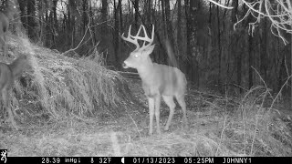 Johns Last Day of Flintlock Muzzleloader Deer Hunting Season 2023 Trail Camera Photos of BIG BUCKS [upl. by Skye17]