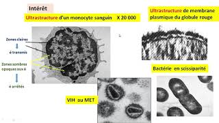 Cytologieبالعربية  2 Les méthodes détude de la cellule  Part 2 le MET [upl. by Knowling]