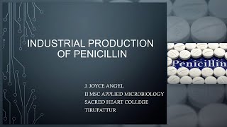 Industrial Production of Penicillin Industrial microbiology [upl. by Eitsirc]