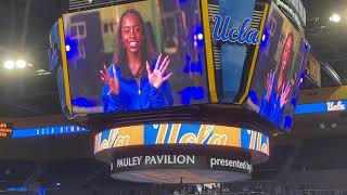 UCLA vs Cal Gymnastics 2024 Vlog [upl. by Eannej]