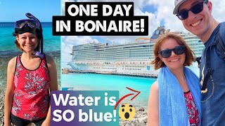 What to do for ONE DAY IN BONAIRE  Cruise Excursion Options [upl. by Northington]