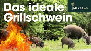 Wie Du das perfekte Grillschwein findest und Faustformel wieviel Wildbret Du pro Gast benötigst [upl. by Namolos]