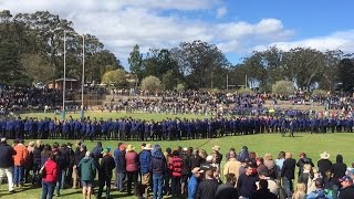 Downlands 1st XV Highights 2016  The Comeback Year [upl. by Oicor]