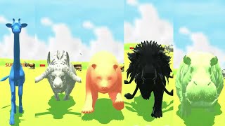 Colored Animals Speed Races  Giraffe Panda Buffalo Lion Hippopotamus [upl. by Orfinger]