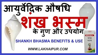 Shankh Bhasma Benefits in Hindi  शंख भस्म के गुण और उपयोग  Lakhaipurtv [upl. by Elyk873]