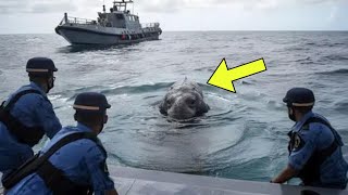 Navy Meets Giant Creature At Sea  What Happened Next Surprised The Whole World [upl. by Yahska]