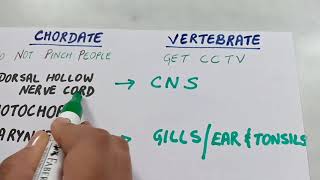 Trick to learn features of Chordates and Vertebrate NEET [upl. by Nosae]