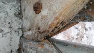 Decay in roof timbers is not always obvious [upl. by Ityak]