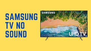 How To Fix Samsung TV No Sound Issue  With Guaranteed Fixes [upl. by Hatch197]