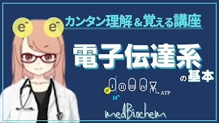 スッキリ解説！医薬分野のための電子伝達系入門 [upl. by Weylin584]