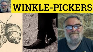 🔵 WinklePickers Meaning  Winklepickers Examples  Winkle Defined  Fashion Vocabulary [upl. by Limann]