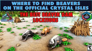 Where to Find Beavers in the Crystal Isles Map [upl. by Eilyr646]