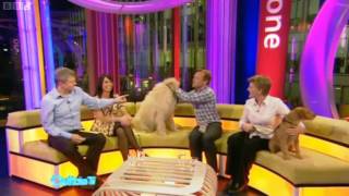 BBC Bloopers  Outtake TV  9042010 [upl. by Airotnahs711]