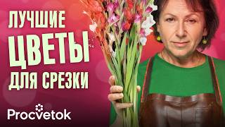 САМЫЕ КРАСИВЫЕ И СТОЙКИЕ ЦВЕТЫ ДЛЯ БУКЕТОВ ИЗ ВАШЕГО САДА [upl. by Meredi]