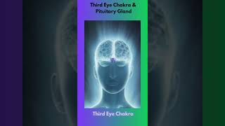 Third Eye Chakra and Pituitary Gland shorts thirdeye pituitarygland [upl. by Kaleena]