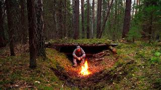 HOW TO SURVIVE A COLD NIGHT IN THE FOREST BUILDING A SECRET LOG SHELTER BUSHCRAFT [upl. by Tteragram208]