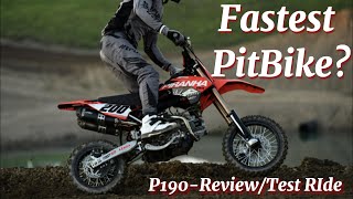 Worlds FASTEST PitBike Piranha 190 Daytona 4V DE [upl. by Stearne]