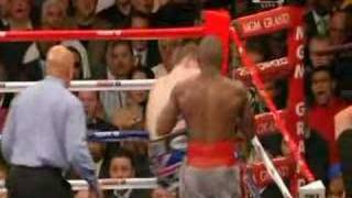 Calzaghe VS Mayweather [upl. by Assanav]