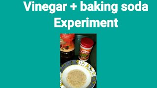 Experiment to study reaction of acids with metal hydrogen carbonates Class 10 shorts experiment [upl. by Rowney845]