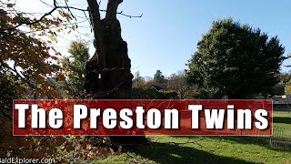 The Preston Twins  The Oldest Elm Trees in Britain [upl. by Agarhs45]