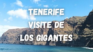 A voir à faire à Tenerife visite de Los Gigantes aux iles Canaries Teneriffa [upl. by Zetra520]