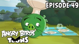 Angry Birds Toons  The Truce  S1 Ep49 [upl. by Ferguson347]